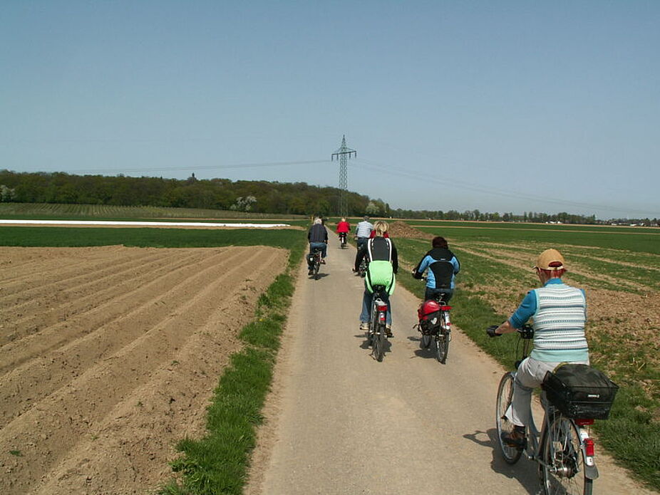 Anfahrt von Rubbelrath nach Liedberg