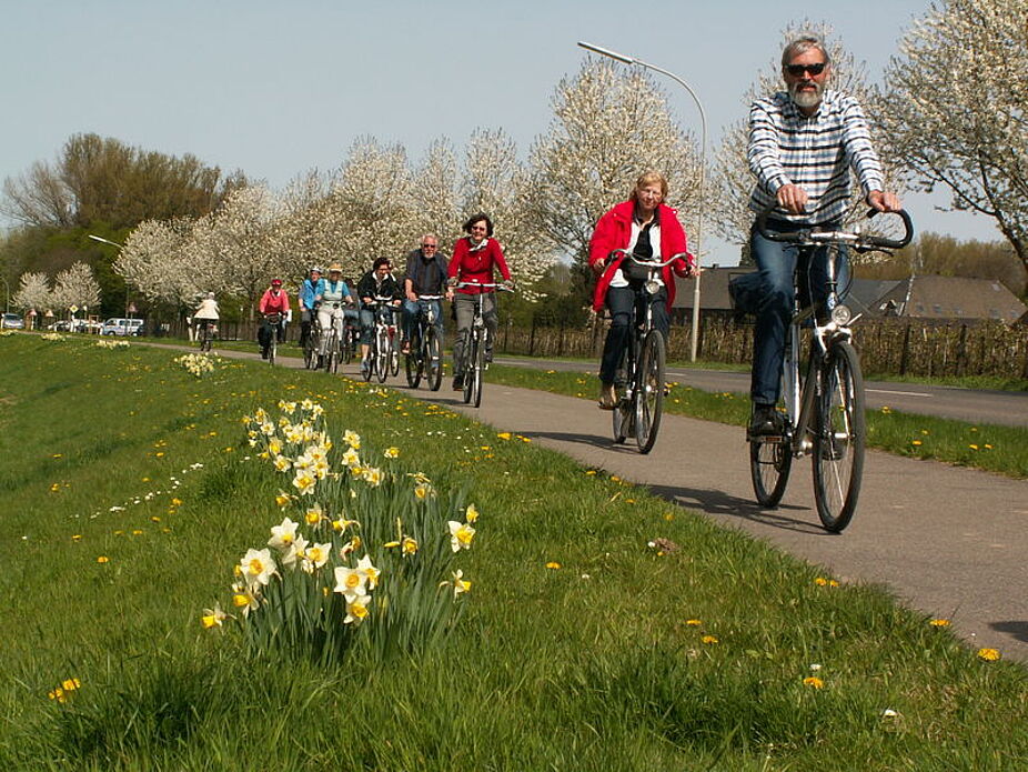 Blühende Landschaften (Dycker Feld, Teil 4)