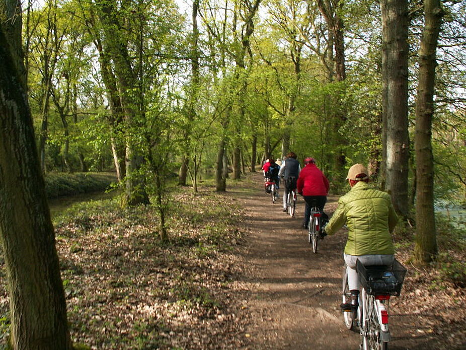 Durch die Everglades im Reuschenberger Busch