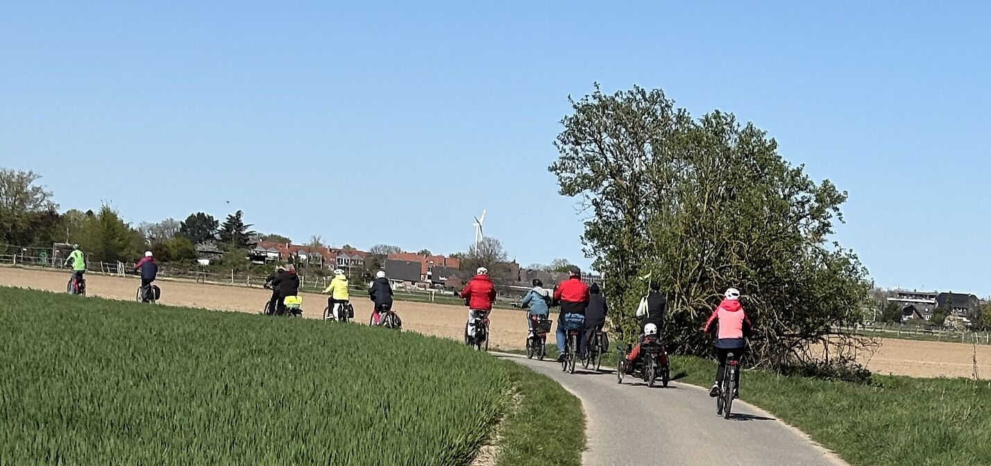 Merherer Radler von hinten auf einem Feldweg im Fruehling bei blauem Himmel