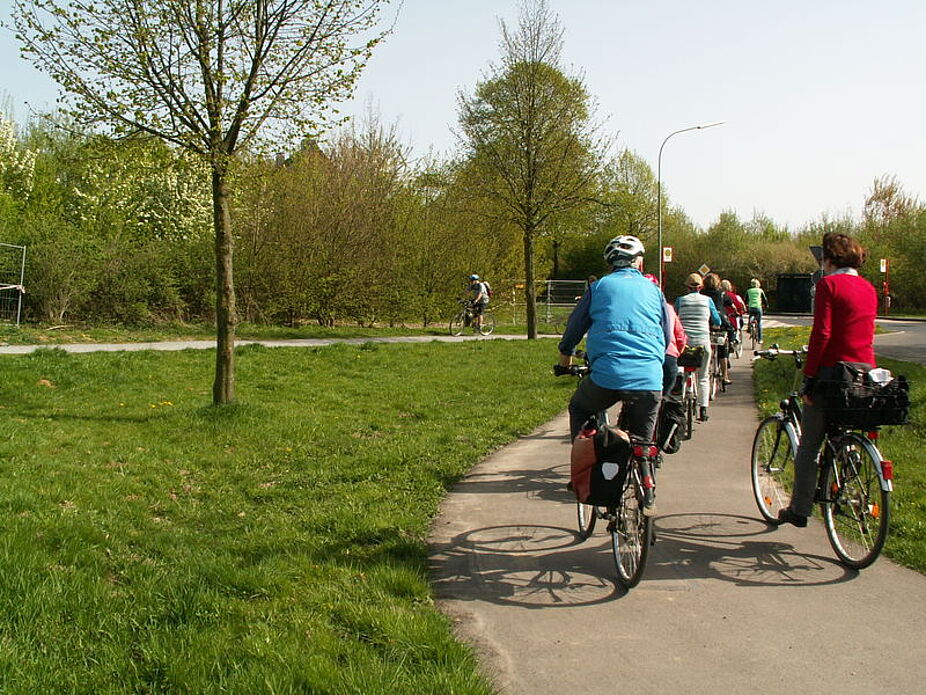 Seltsame Radwegführung am Kreisel beim Kloster Kreitz