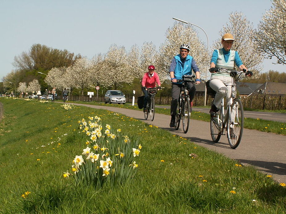 Blühende Landschaften (Dycker Feld, Teil 3)
