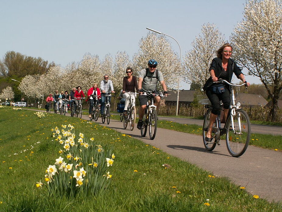 Blühende Landschaften (Dycker Feld, Teil 2)