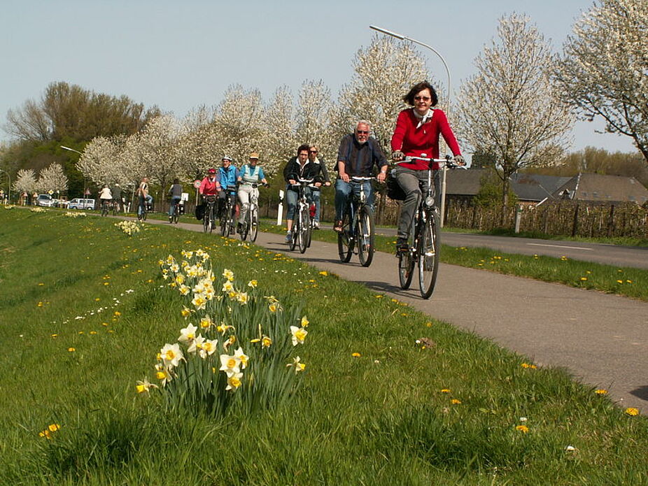 Blühende Landschaften (Dycker Feld, Teil 1)