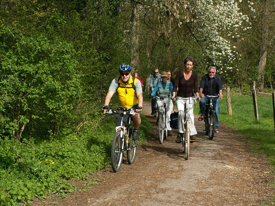 Im Wald bei Wevelinghoven