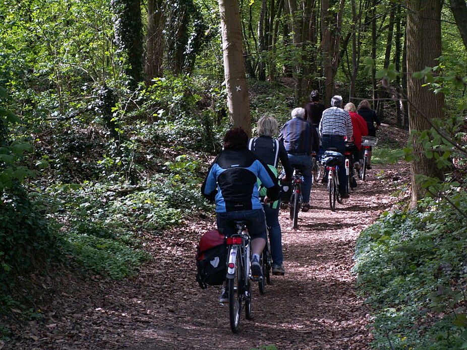 Anstieg im Wald zur Burg Liedberg